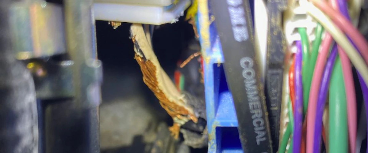 Thumbnail for Rodent Damage Causes Multiple Electrical Faults in Toyota